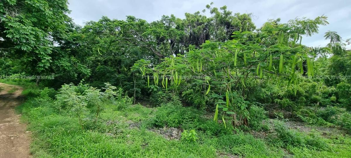 Land in Vipingo - 18