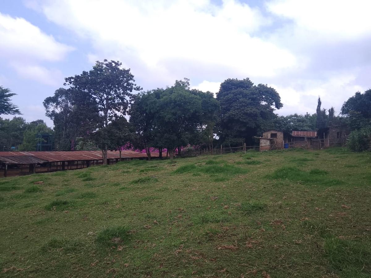 Land at Tigoni Limuru Golf Club - 19