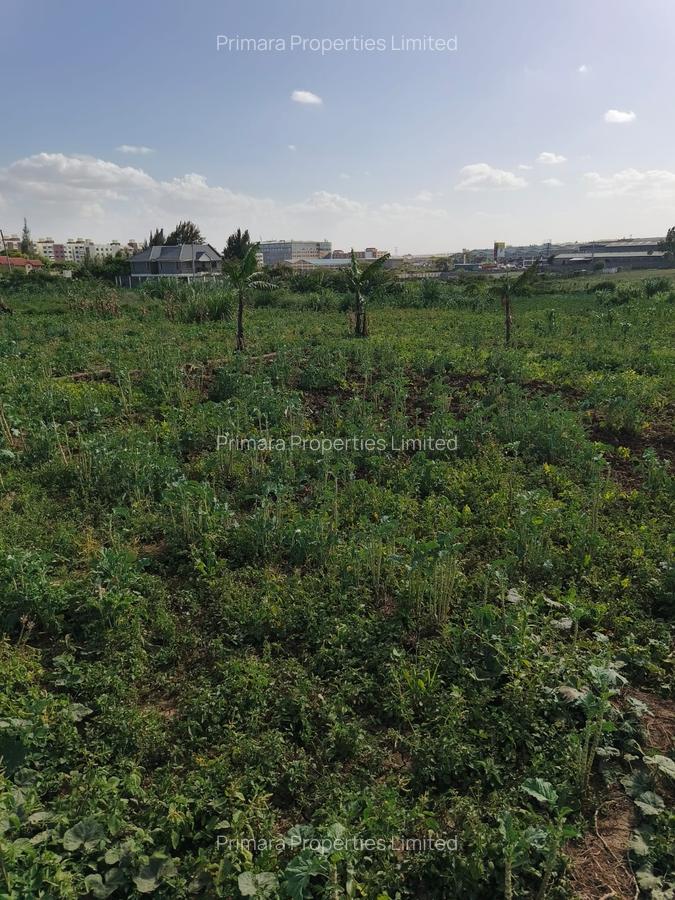 0.125 ac Land at Sabaki - 3