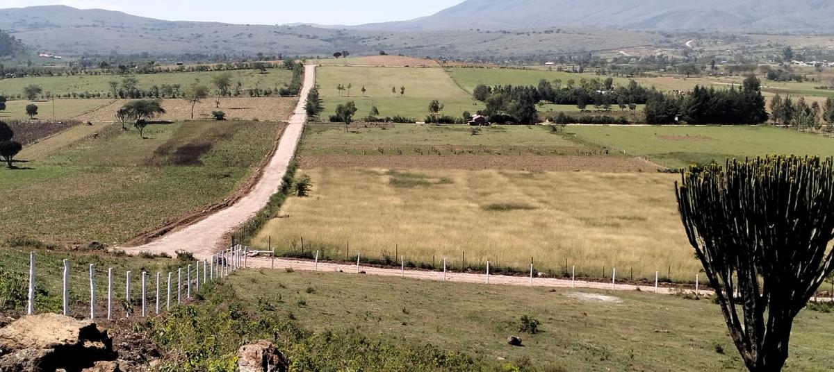 0.25 ac Residential Land at Naivasha - 1