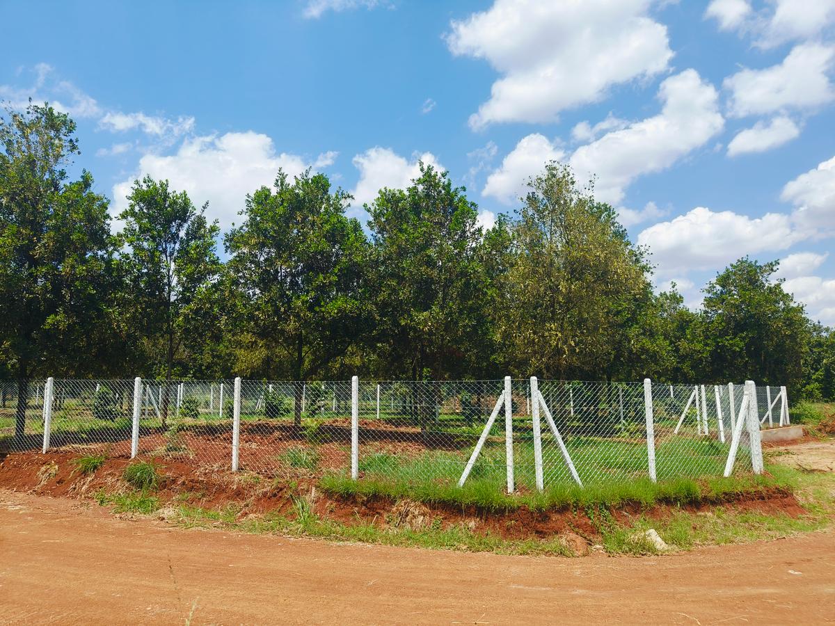 Residential Land in Thika - 2