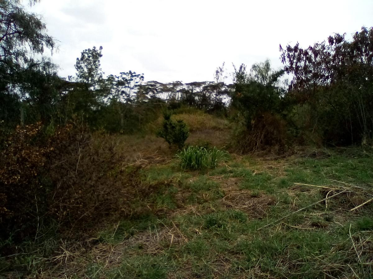 Land at Magadi Rd - 5