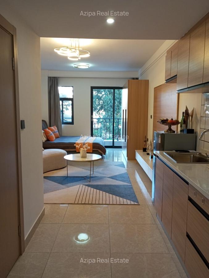 Studio Apartment with Swimming Pool in Ruaka - 7