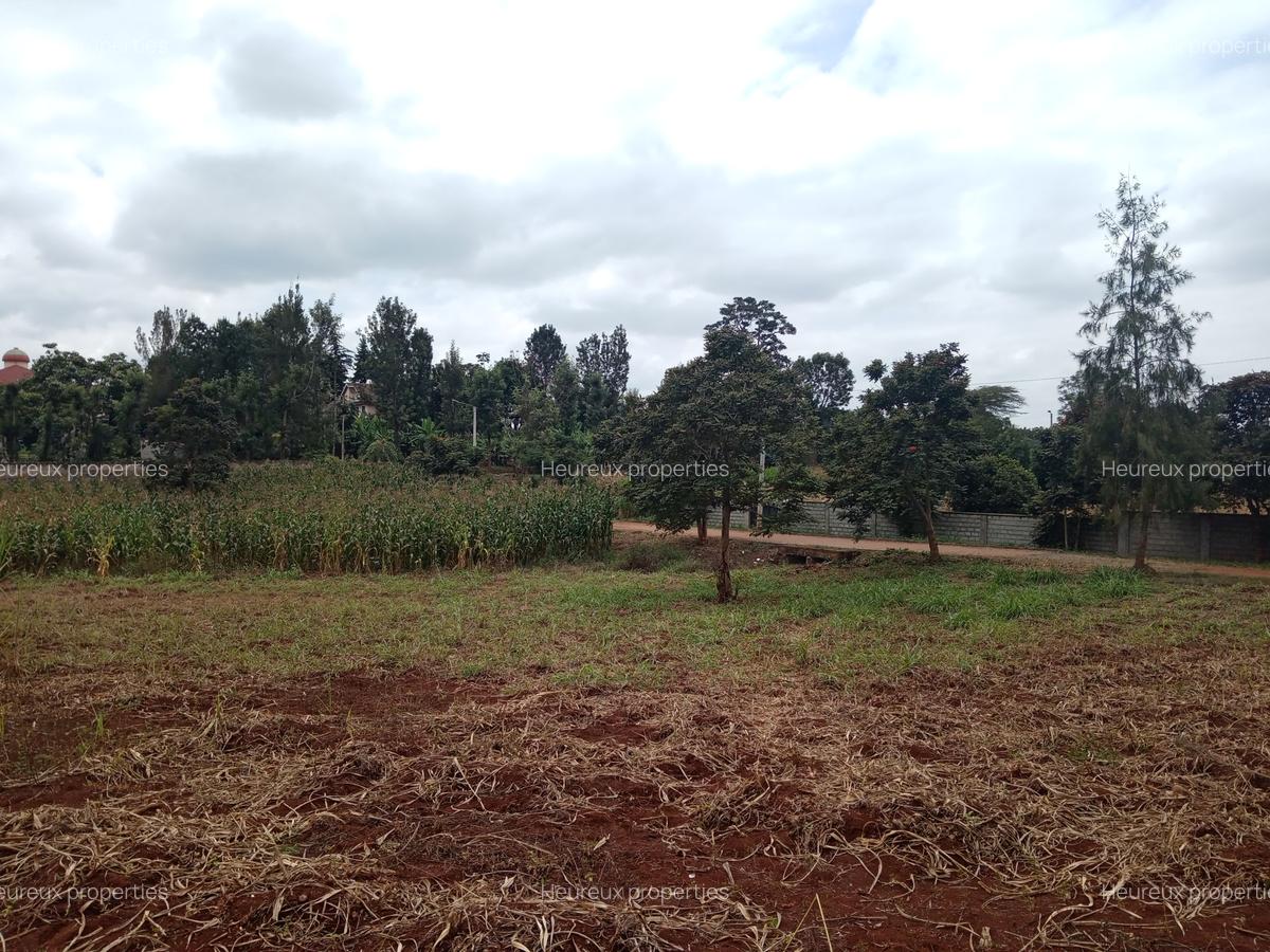 Residential Land in Runda - 3