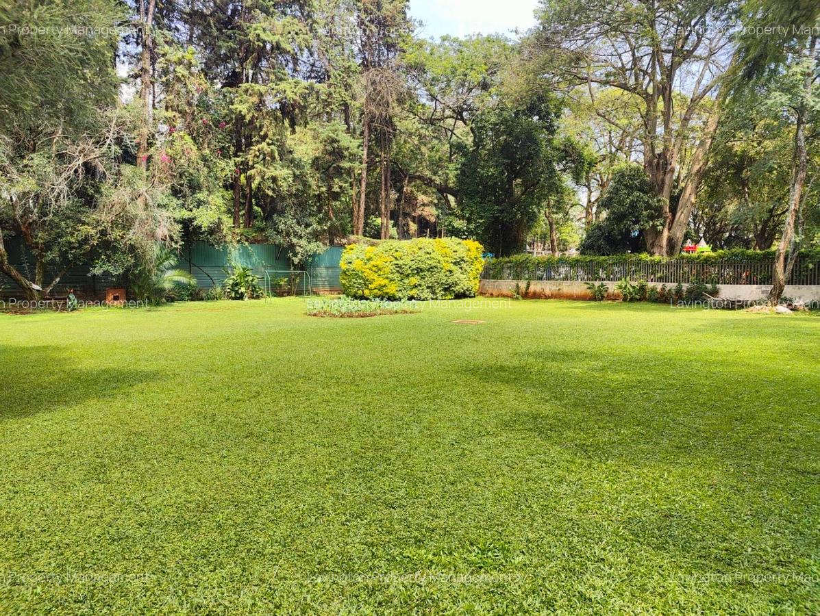 0.8 ft² Commercial Land at Majimzuri - 11