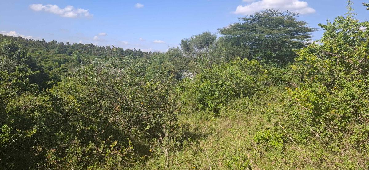 Land in Ngong - 8