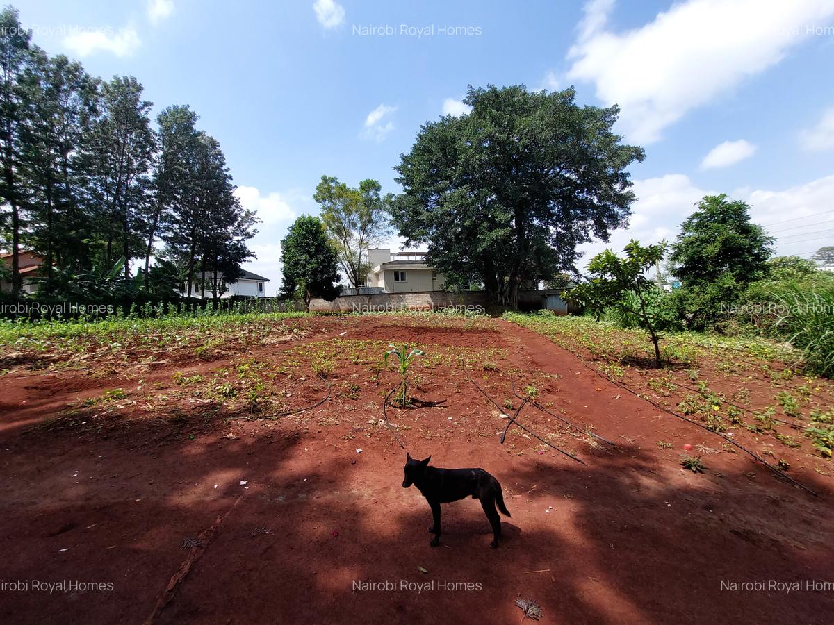Residential Land at Kirawa Road - 8