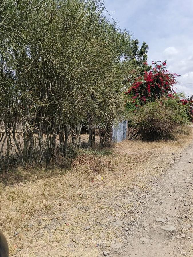0.25 ac Land in Ruai - 8
