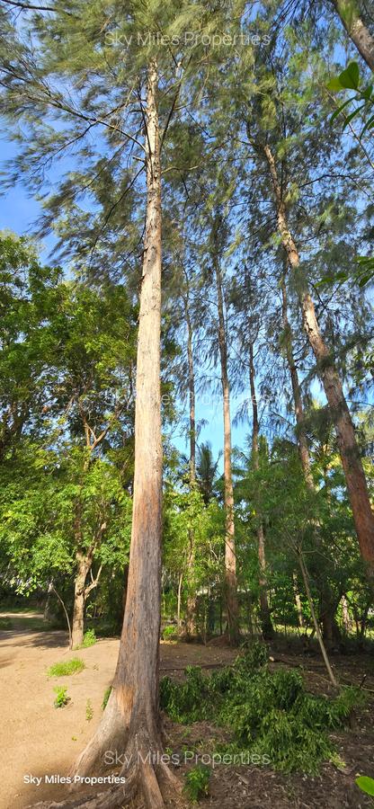 1 ac Land at Kikambala - 4