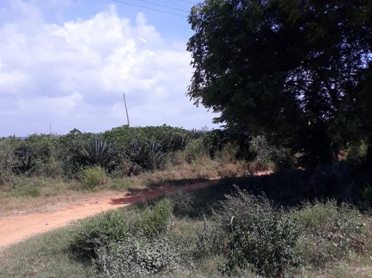 1,012 m² Residential Land in Vipingo - 2