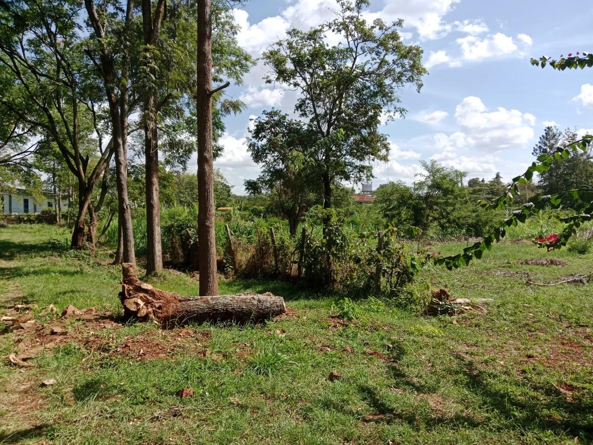 Land at Roysambu - 7