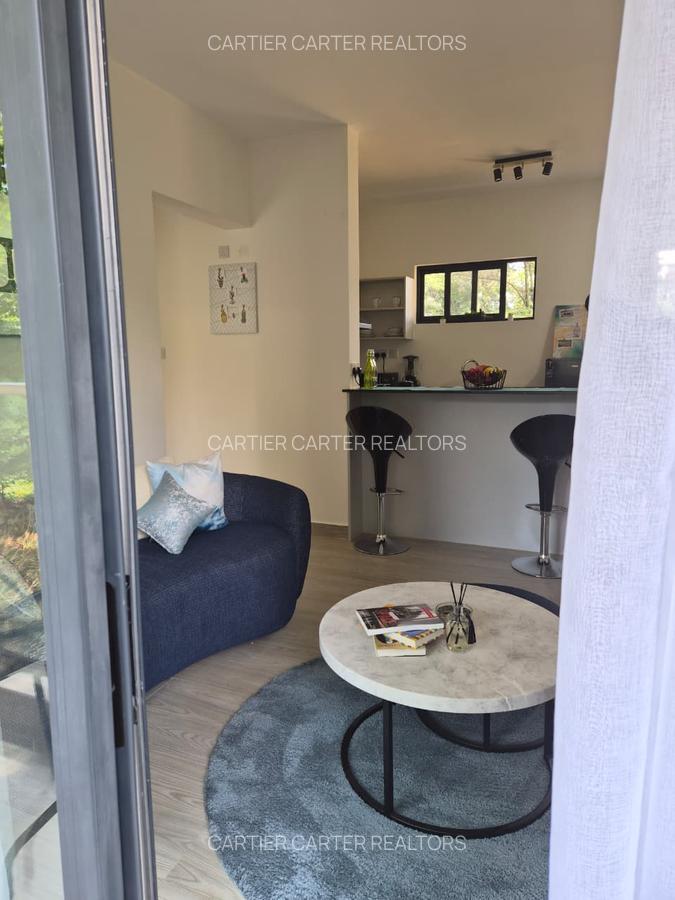 Studio Apartment with Gym in Garden Estate - 4