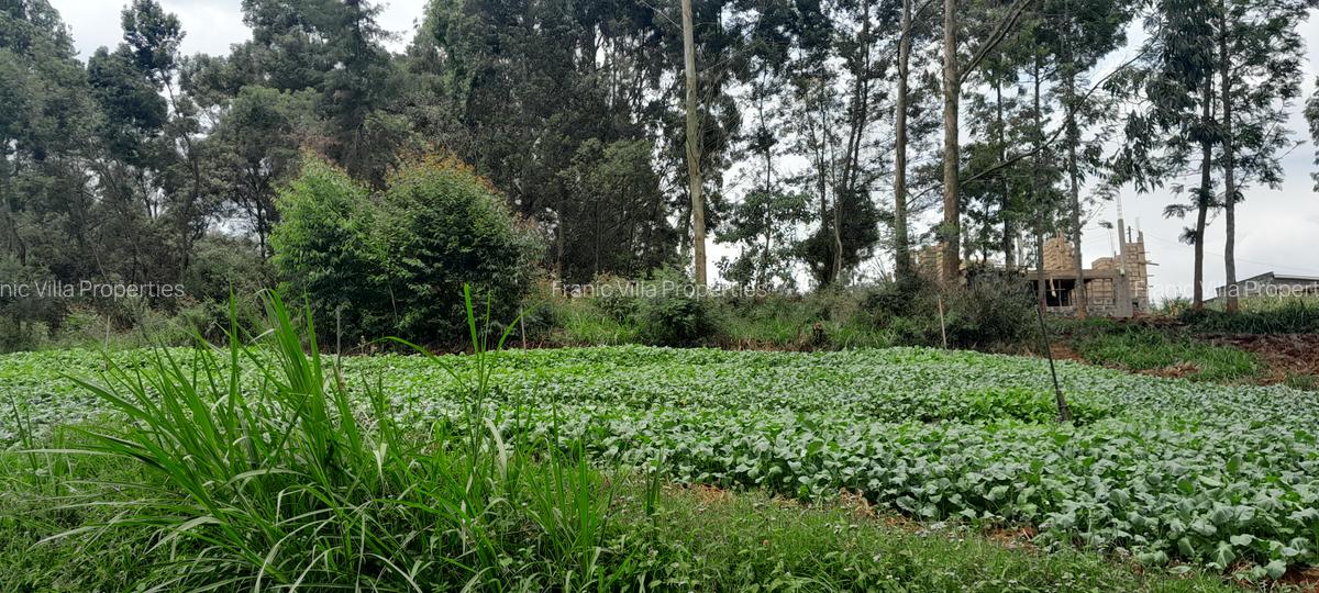Residential Land at Kabuku Near St Paul University - 17