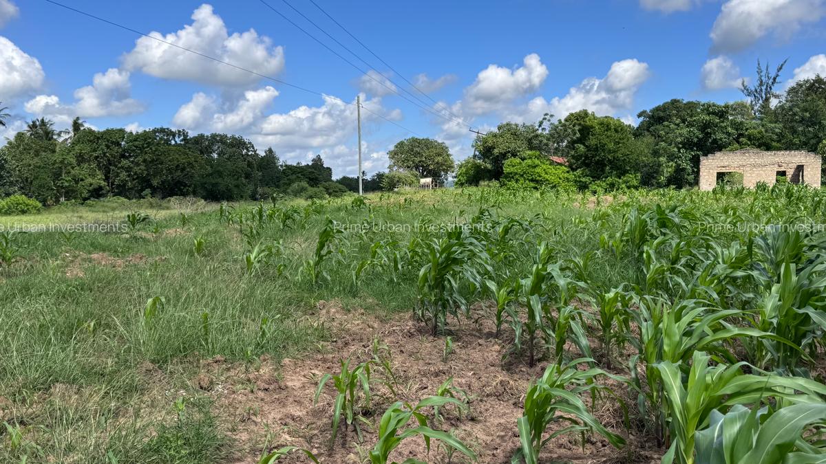 464 m² Land at Mavueni - 11