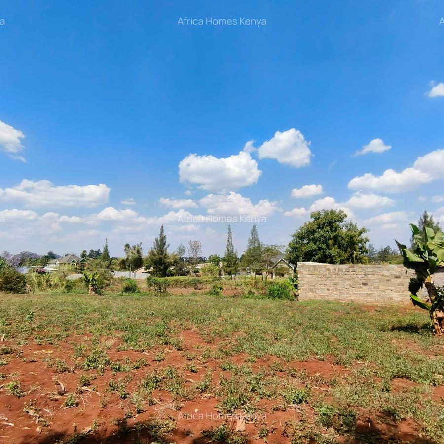 Residential Land at Ruiru Mhasibu - 4