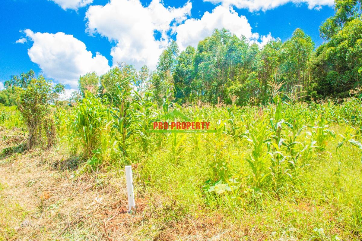 0.05 ha Residential Land at Gikambura - 5