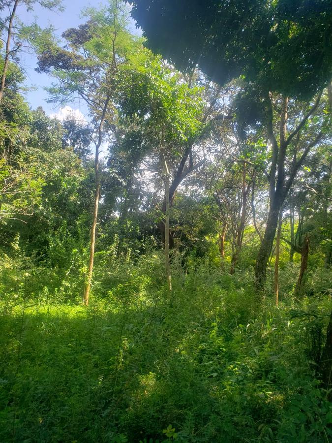 0.5 ac Land in Karen - 5