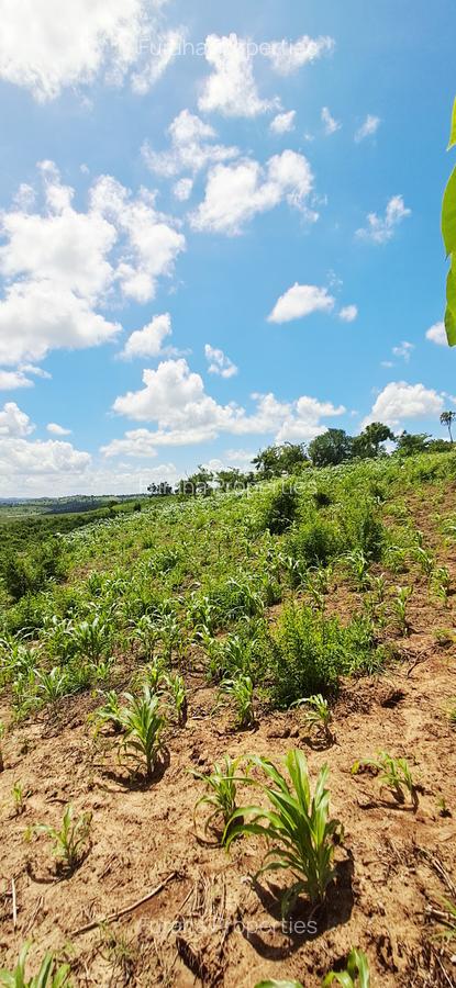 Land at Mtwapa Mtepeni - 8