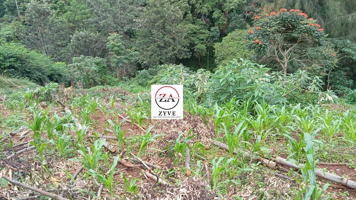 0.5 ac Residential Land in Kitisuru - 5