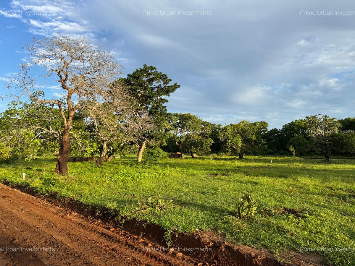 Residential Land in Vipingo - 13