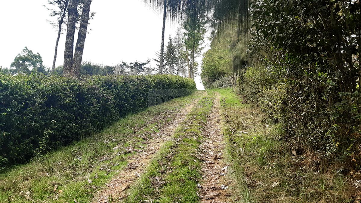 0.125 ac Land in Limuru - 4