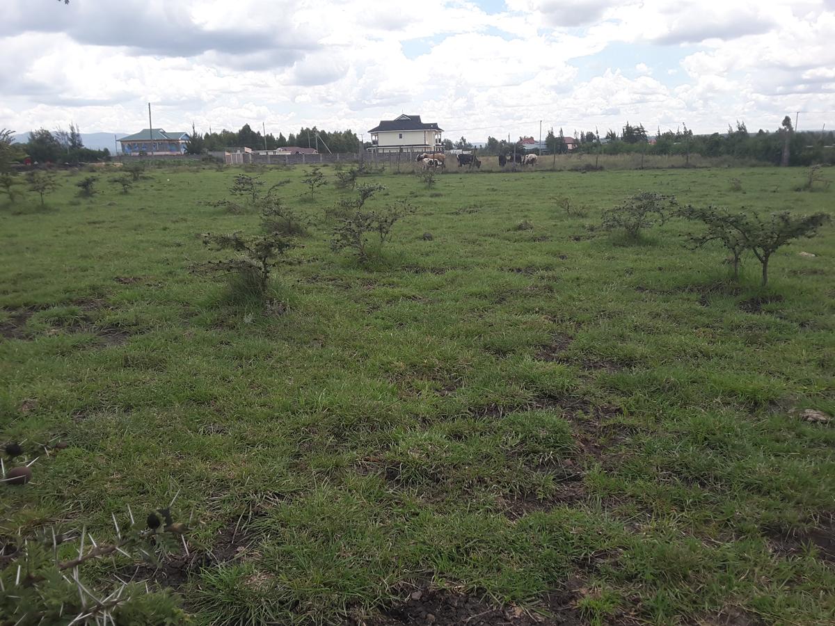 0.1 ha Residential Land in Ongata Rongai - 12