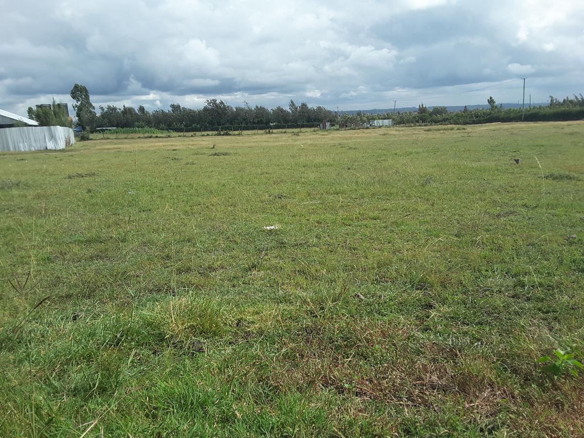 1 ac Residential Land in Ongata Rongai - 17