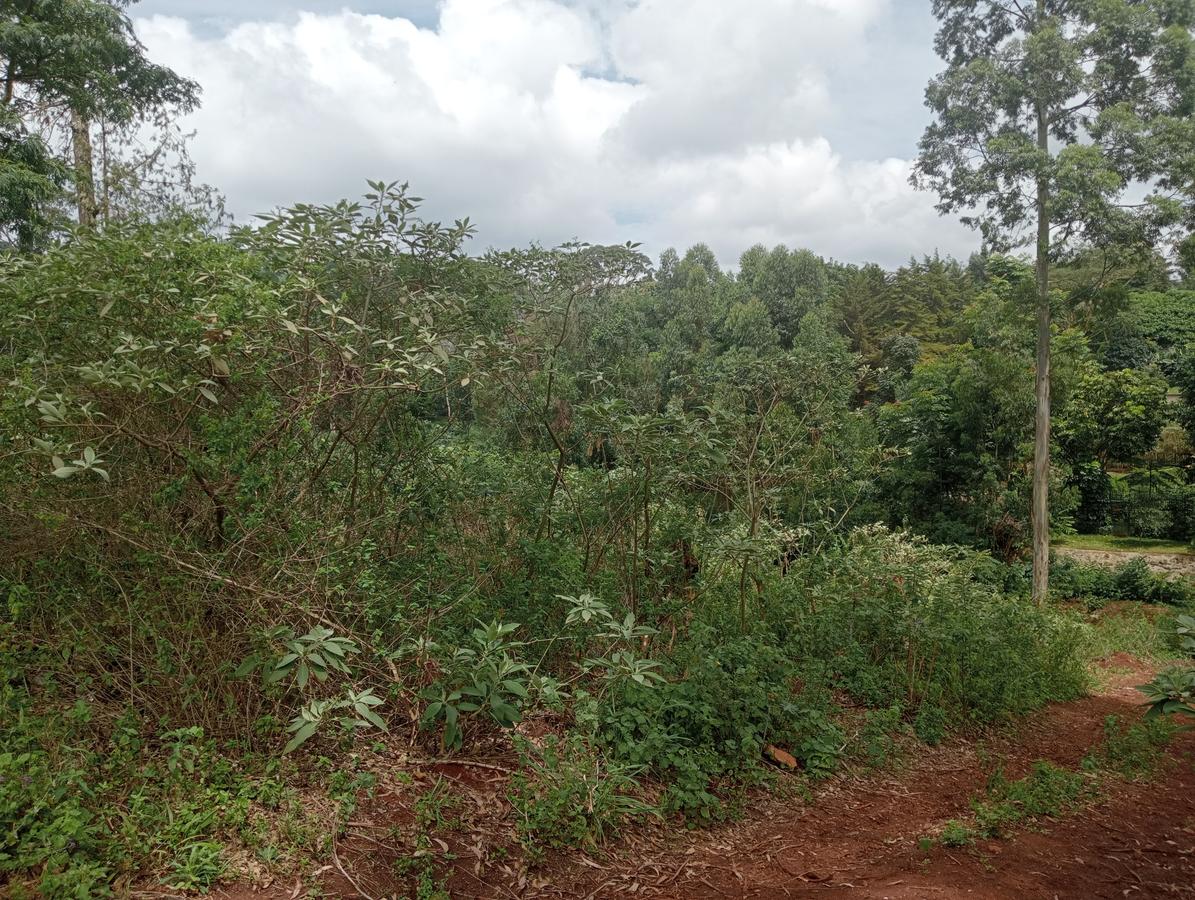 Residential Land in Runda - 3