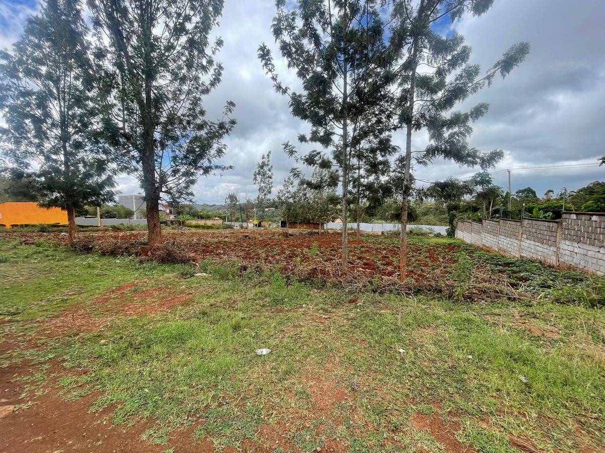 0.5 ac Land at Gatanga Road - 4