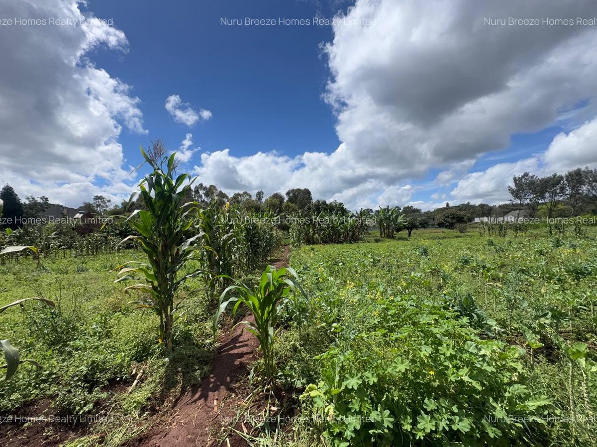 0.5 ac Residential Land in Karen - 10