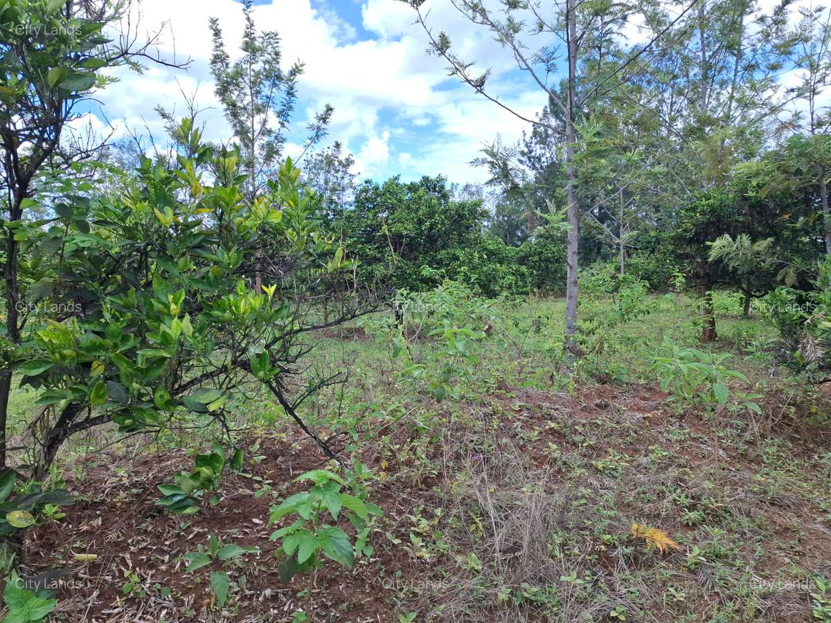 450 ha Residential Land at Sucess Garden Kenol Makuyu - 6