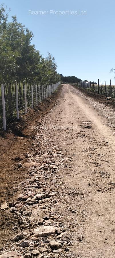 0.25 ac Residential Land at Naivasha - 4