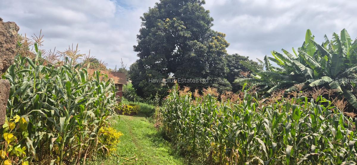 0.25 ac Land at Kabiria Rd - 13