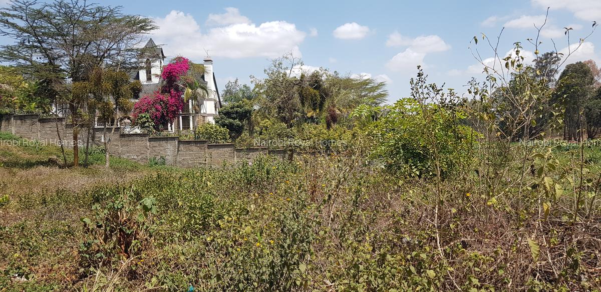 Residential Land at Flem Tree Off Ruaka Road - 4