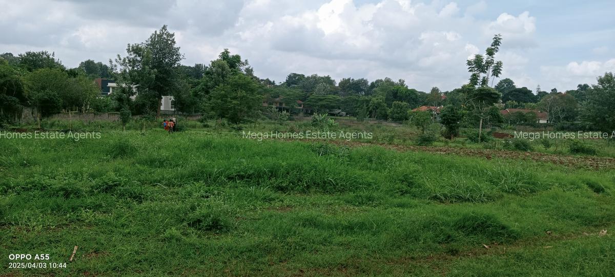 2 ac Land in Runda - 5