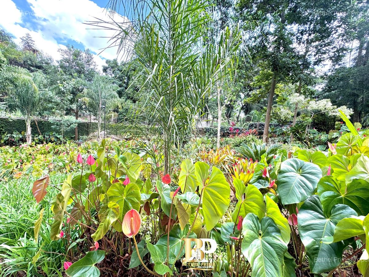 2 Bed House with En Suite in Muthaiga - 10