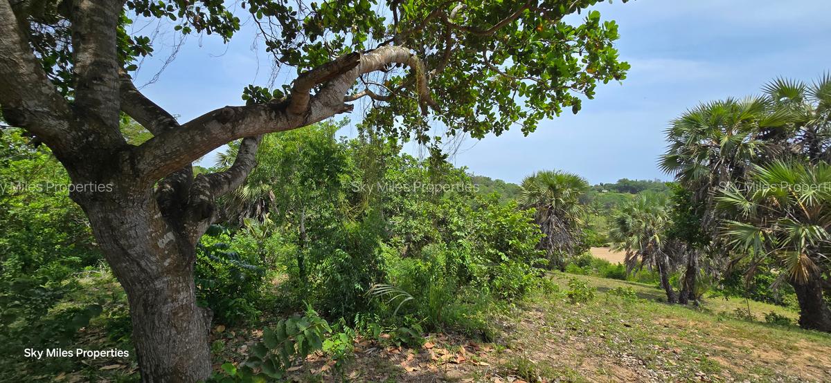 1.2 ac Land at Mtwapa Creekside - 10