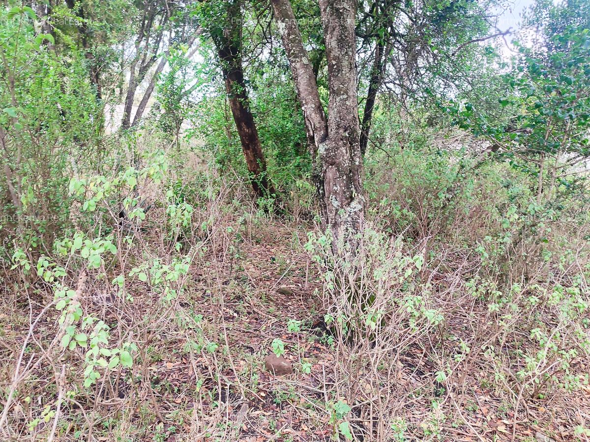 Residential Land at Hardy - 9