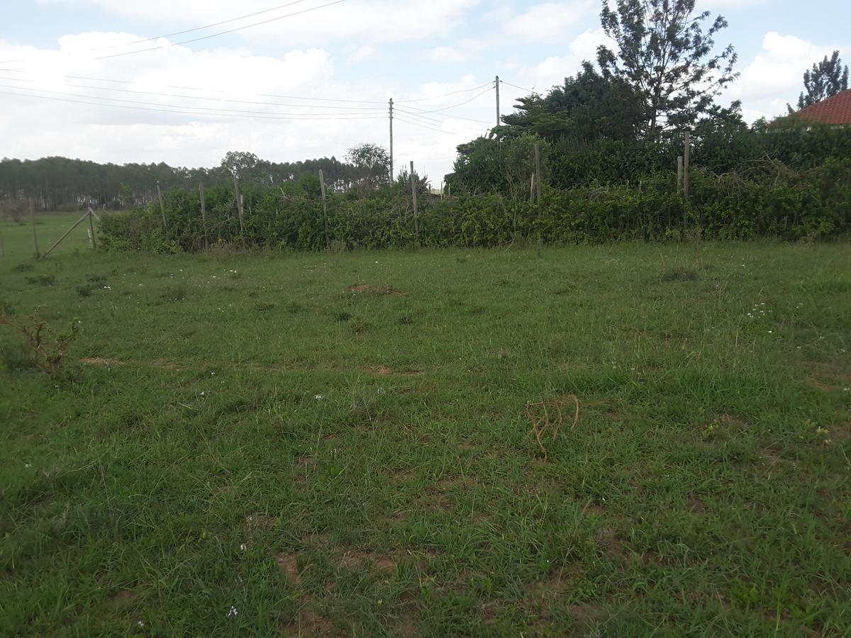 0.25 ac Land in Ongata Rongai - 3