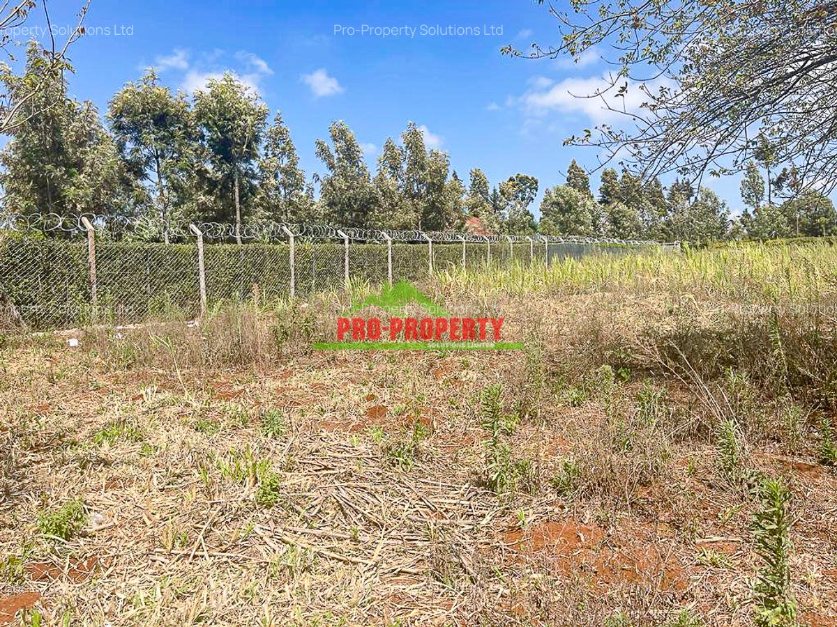 0.4 ha Land at Ondiri - 10