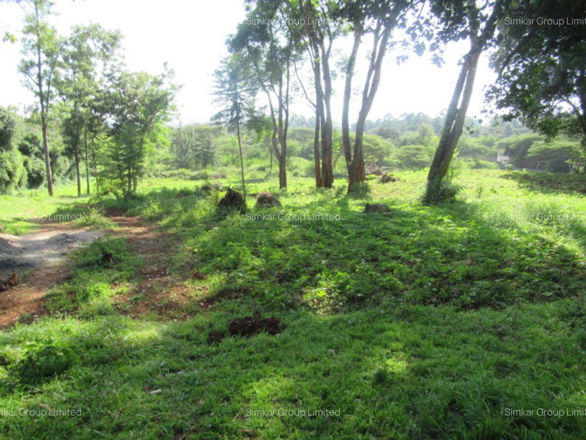 Residential Land at Ololua Ridge - 11