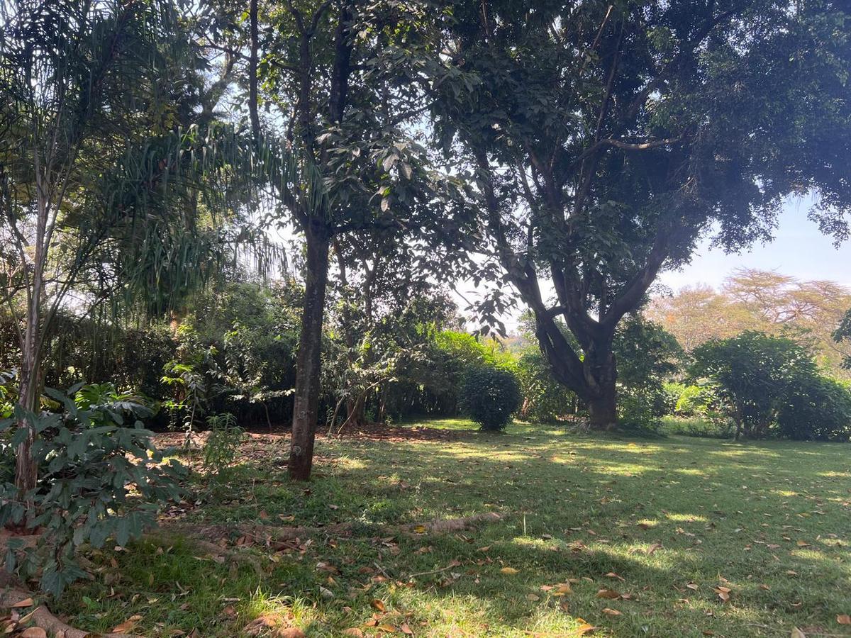 0.5 ac Residential Land at Runda Ridge - 11