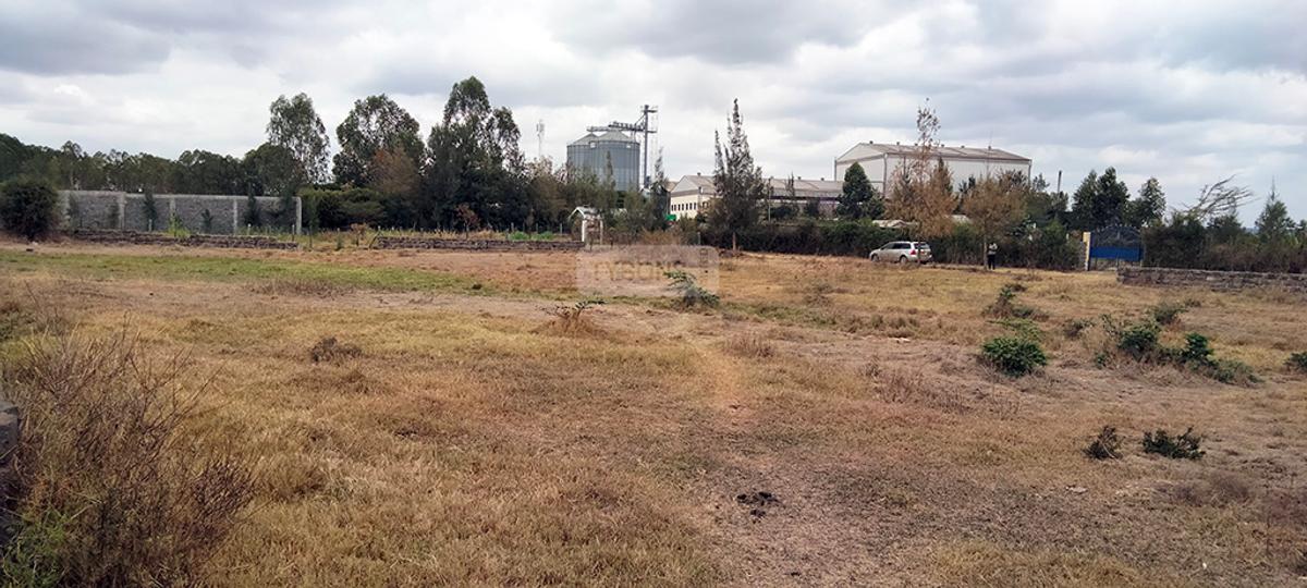 0.125 ac Land in Ongata Rongai - 2