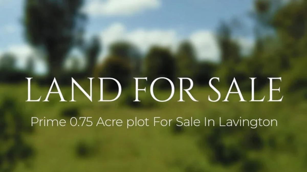 0.75 m² Land in Lavington - 1