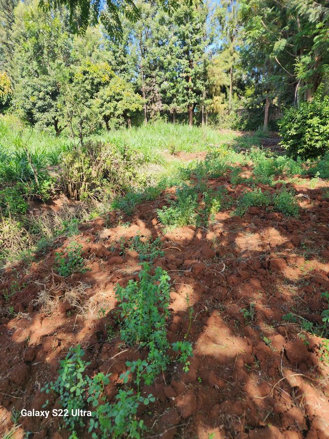 Residential Land at Thome. - 3