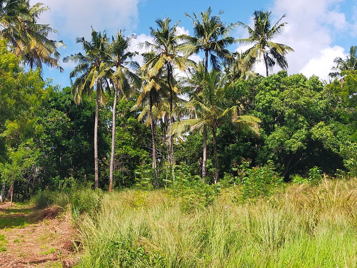 Land in Kilifi County - 9