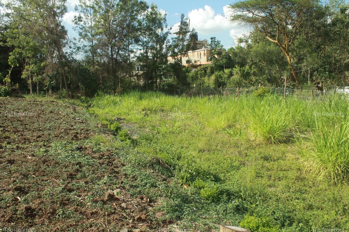 0.33 ha Residential Land at Nkoroi - 4