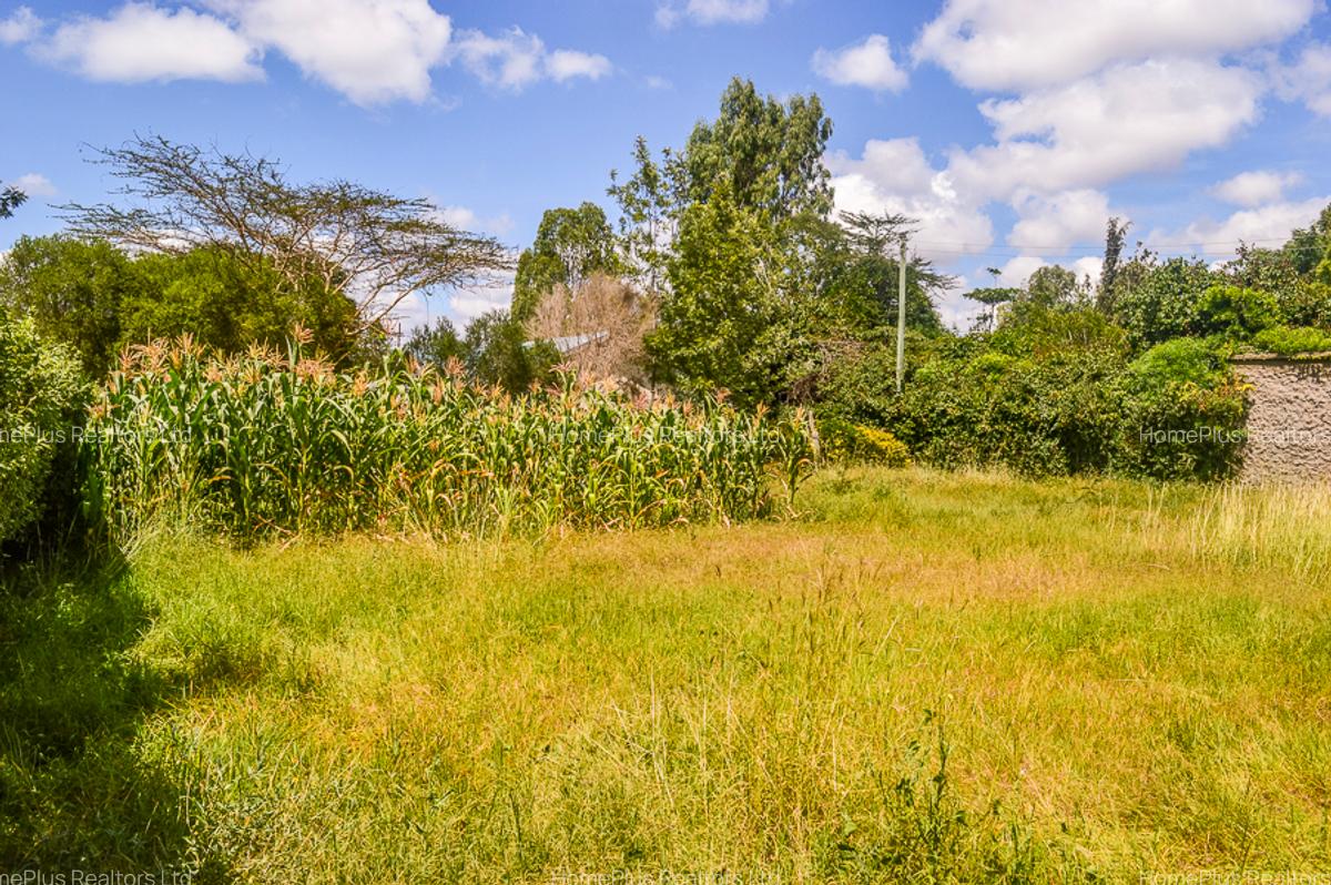 Residential Land at Ole Pasha Drive - 5