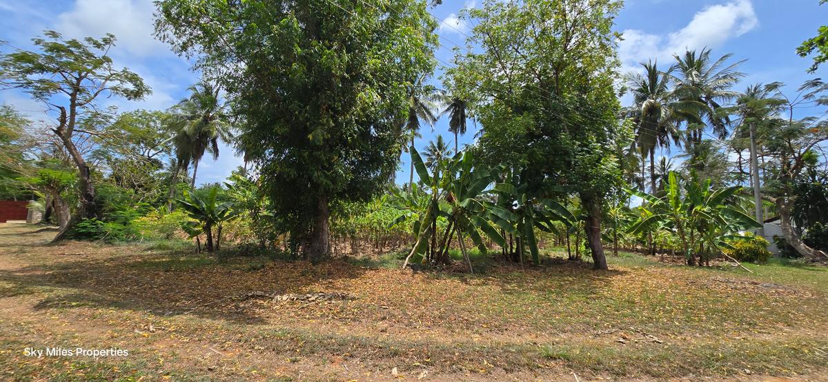 6 ac Land at Bomani - 7