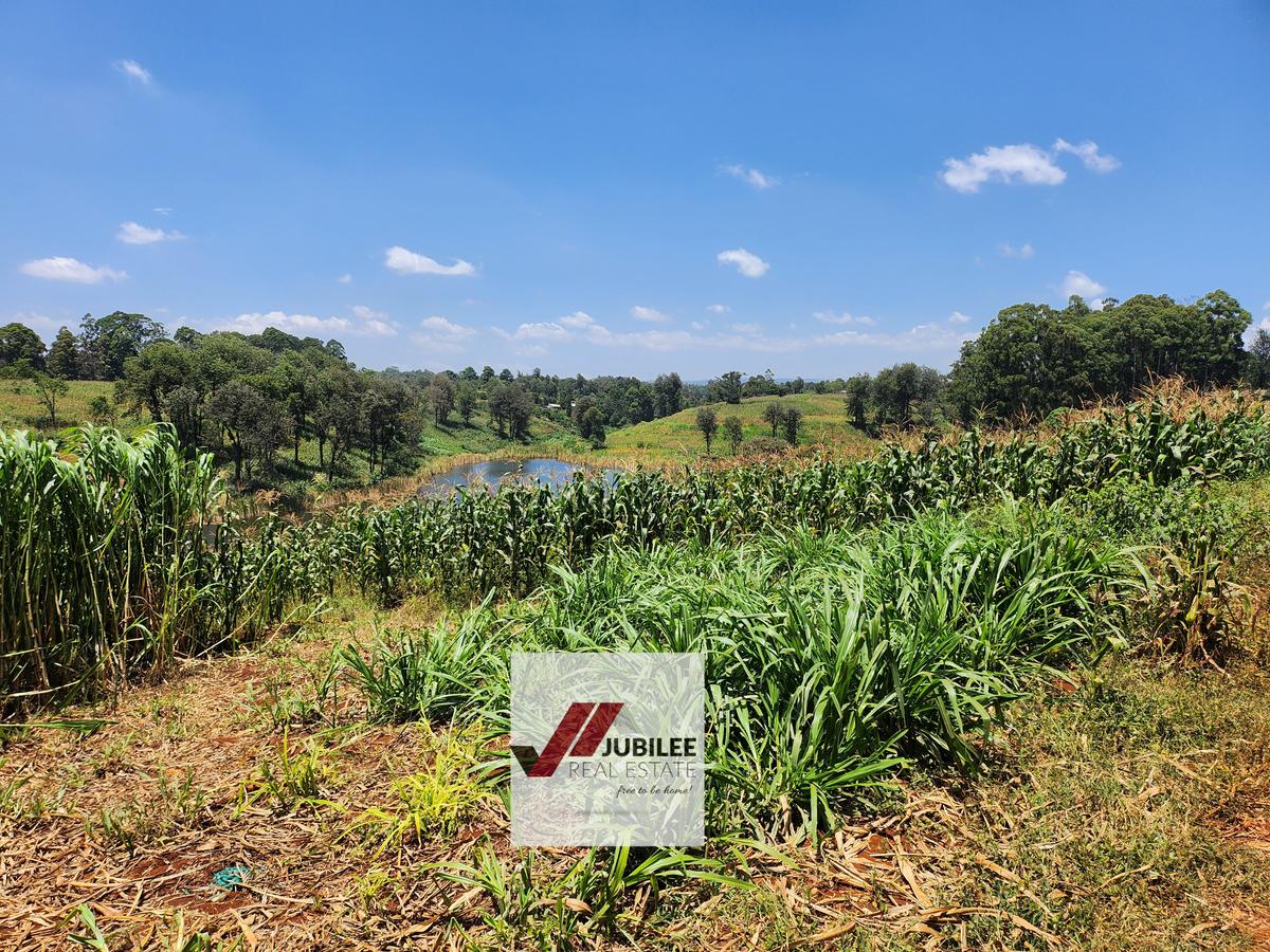 25 ac Land in Kitisuru - 12